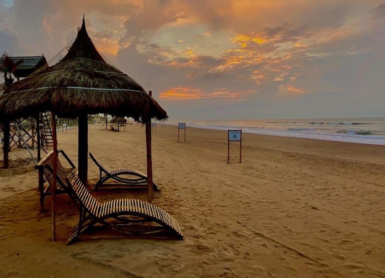 Paradise Found: The Golden Beaches of Puri, Odisha